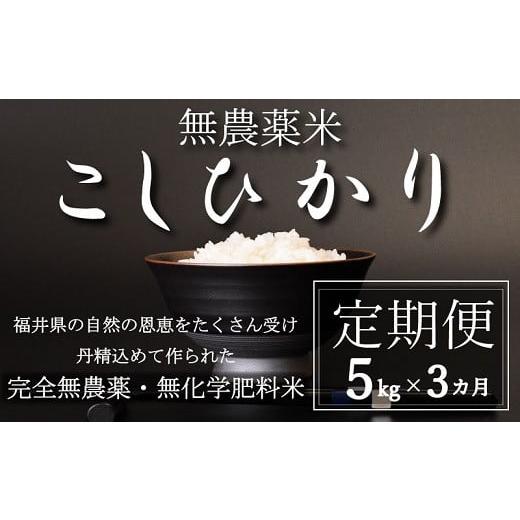 ふるさと納税 福井県 越前市 無農薬米5kg×3回（こしひかり）