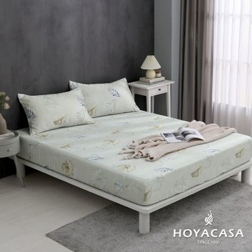 HOYACASA 60支天絲枕套床包三件組- 萍葉芝芯(特大)