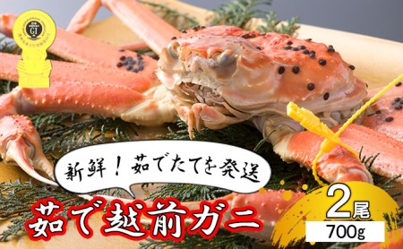 茹で越前ガニ食通もうなる本場の味をぜひ、ご堪能ください。約700g 2尾セット 越前がに 越前かに 越前カニ カニ ボイルガニ