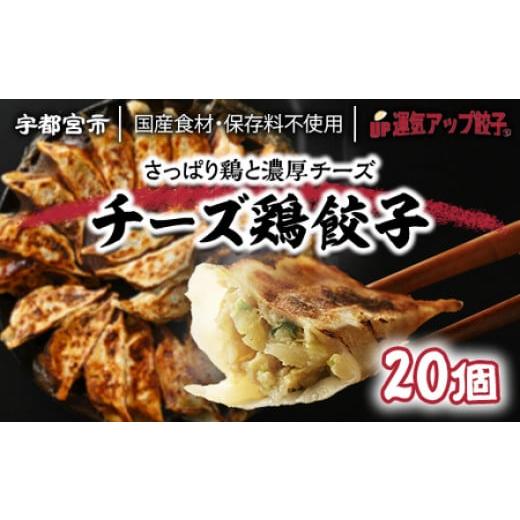 ふるさと納税 栃木県 宇都宮市 宇都宮餃子　チーズ鶏餃子20個　保存料不使用