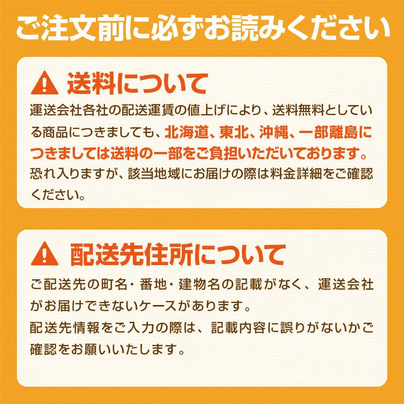 米 10kg 5kg×2袋 無洗米 ひのひかり 熊本産 令和4年産 精米 うるち 白米 お米 ご飯