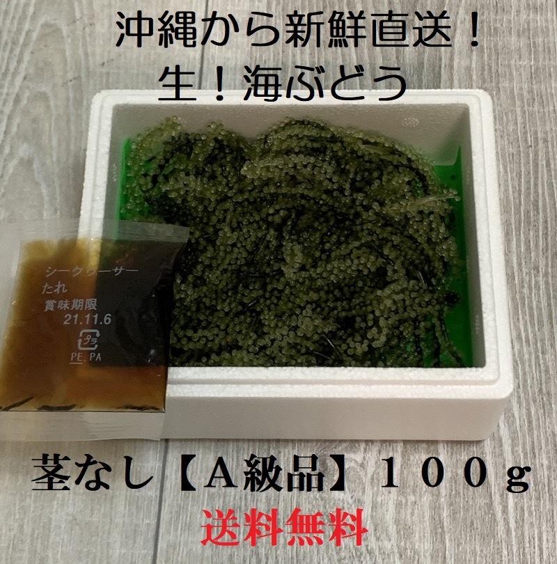 茎なしA級品　生！海ぶどう１００ｇ（シークヮーサー果汁入りタレ付き）沖縄の生産者から新鮮直送！お試しOKです！