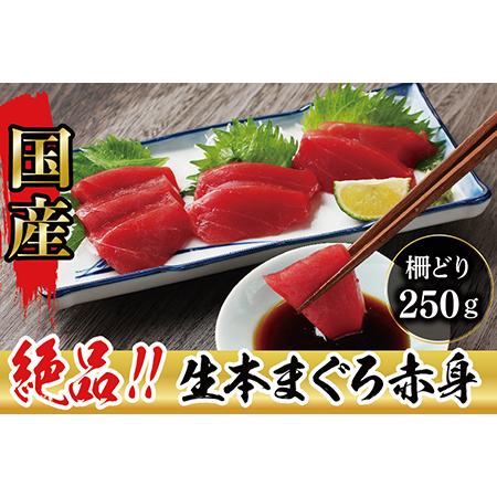 ふるさと納税 絶品！生本マグロ 赤身 250g（柵どり） 福井県越前市