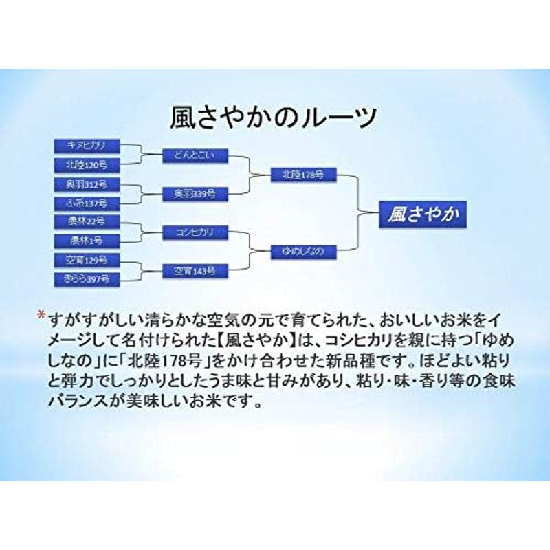 精米 長野県産 白米 風さやか 5kg 令和4年産