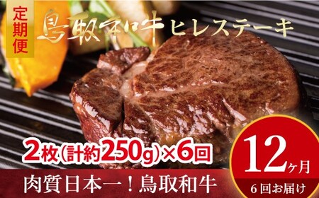 鳥取和牛　ヒレステーキ6回定期便お肉 肉 牛肉 和牛 鳥取和牛 牛肉 肉 国産 お肉 冷凍ヒレ ステーキ 牛肉 ヒレ 定期便 牛肉 定期便 6回