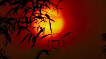 逢甲北12期水湳經貿佑晟Green1之文修公園宅｜台中市西屯區漢翔路