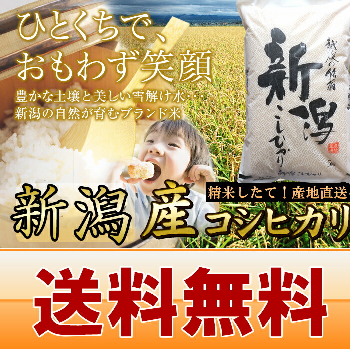 新潟産 コシヒカリ 5kg 送料無料 新潟県産 5キロ お米 令和4年 新米 精米 白米 こしひかり