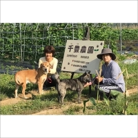 冬野菜セット　6種類　農家直送　旬野菜