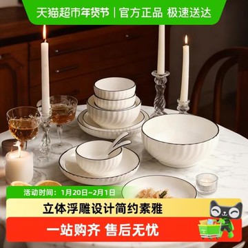 高級感餐具碗筷組合碗碟套裝家用2025新款釉下彩陶瓷碗盤套裝喬遷