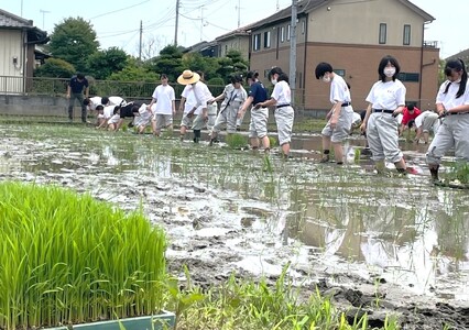 令和5年産 彩のかがやき 玄米 10kg 低農薬 新米