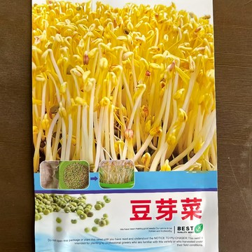 【現貨可開收據】大包裝 豆芽菜種子（約50粒）高品質芽菜綠豆芽種子非基改 芽苗菜種子水培蔬菜種子/原裝包對版
