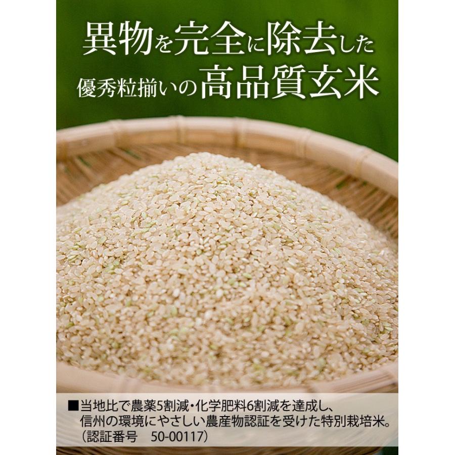 玄米 5kg 特別栽培米コシヒカリ 令和5年産 新米 長野県飯山