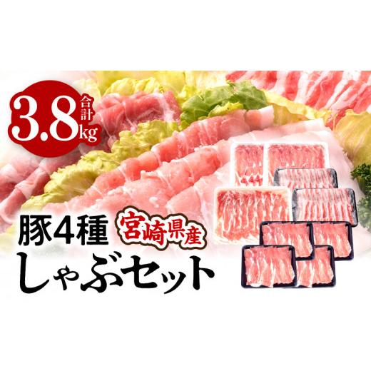 ふるさと納税 宮崎県 宮崎市 宮崎県産4種豚しゃぶセット 合計3.8kg_M201-016