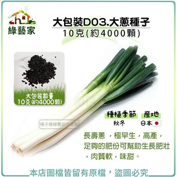 【綠藝家】大包裝D03.大蔥種子10克(約4000顆)(長壽蔥 ，極早生，高產，足夠的肥份可幫助生長肥壯