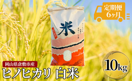 米 定期便 6ヶ月連続お届け 令和5年度産 白米 ヒノヒカリ 10Kg 新米 倉敷市産 こめ コメ 6回