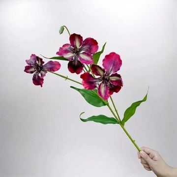 莫內花園愛麗絲鳶尾花英倫紅仿真花花材(1入組)