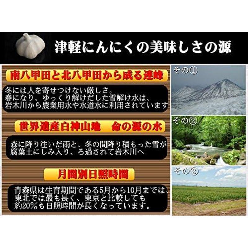 にんにく 青森県産 バラ グルメ通り SHOP 皮剥げも有り 500g 津軽にんにく