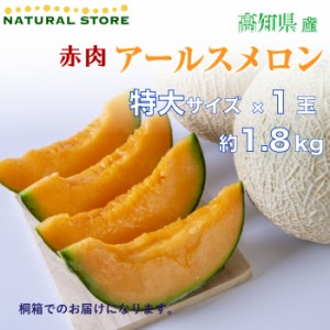 特大サイズ 赤肉 アールスメロン 1玉 約1.8kg 化粧箱 高知県産 マスクメロン  最高級メロン 夏ギフト お中元 御中元