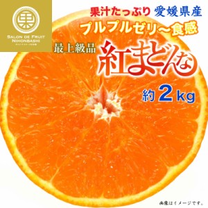 [予約 12月31日必着] 紅まどんな 約2kg 愛媛県 化粧箱 最上級品 冬ギフト お歳暮 御歳暮 大晦日必着