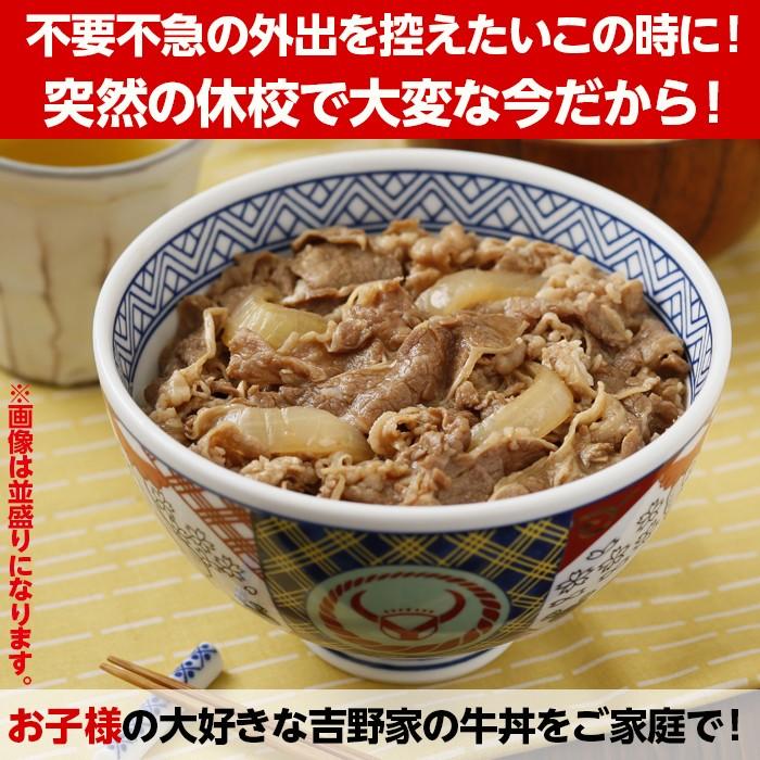 吉野家 牛丼 ミニ 10食セット 冷凍 牛丼の具 吉牛 レトルト 新生活応援 小盛