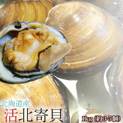 ほっき貝 活 1kg(約3-5個) 北海道産 ホッキ貝 北寄貝