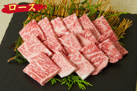 佐賀牛 ロース 焼肉用 500g A5 A4 (H085128)