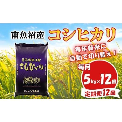 ふるさと納税 新潟県 南魚沼市 南魚沼産コシヒカリ5kg×12回