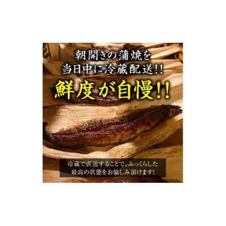 ふるさと納税 国産うなぎ蒲焼き (5匹)｜名店 鰻 ウナギ うな丼 鰻丼 冷蔵 クール便 ひつまぶし 丑の日 簡単調理 [0528] 大阪府寝屋川市