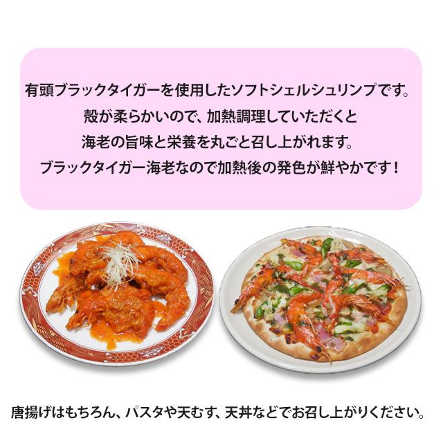 送料無料 殻ごと食べれる丸ごと海老 ソフトシェルシュリンプ 500g 20尾入り ブラックタイガー 冷凍 おつまみ 唐揚げ パスタ 天むす 天丼