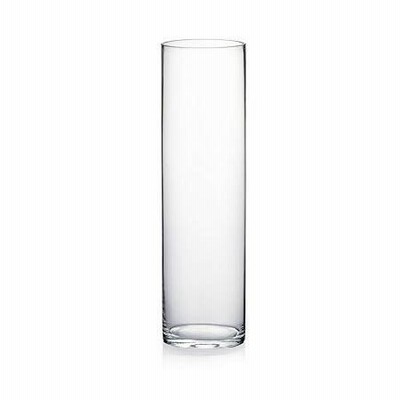 WGV Cylinder Vase, Diameter 5", Height 18", Clear Glass Floral Planter Cont