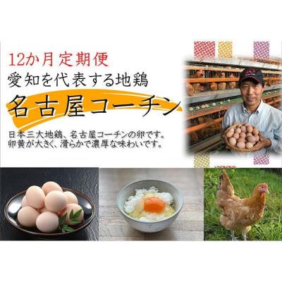 ふるさと納税 大府市 日本三大地鶏!! 「純系　名古屋コーチンの卵」(30個)