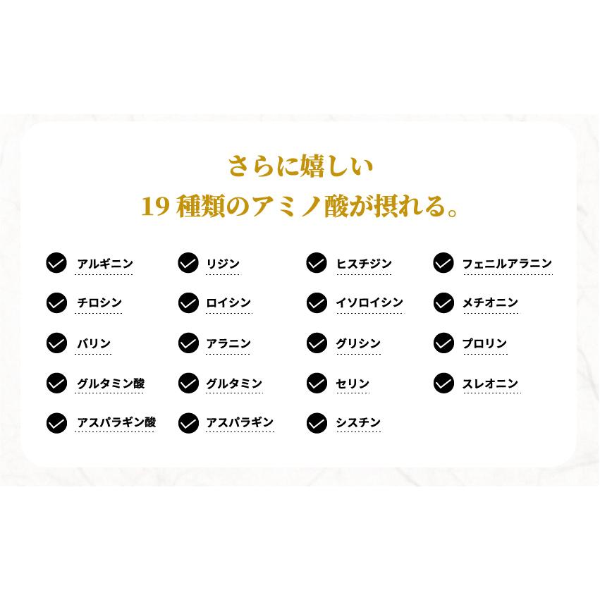 無添加だし 食塩不使用 粉末だし お買得5個セット おいしいだし 海のペプチド 300g