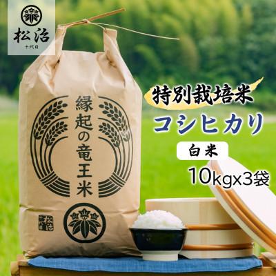 ふるさと納税 竜王町 特別栽培米　十代目松治の滋賀県産コシヒカリ白米30kg 「縁起の竜王米」