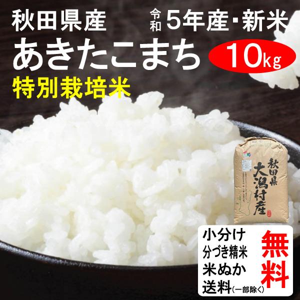 新米 10kg 送料無料 秋田県大潟村 特別栽培米 あきたこまち 1等玄米 クーポンでさらにお得