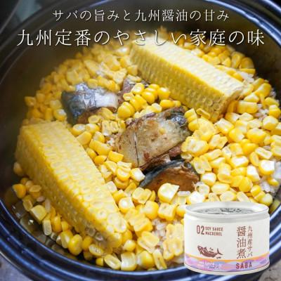 ふるさと納税 松浦市 缶詰工場直送　伝統のさば缶「旬ほとぎ」醤油煮36缶