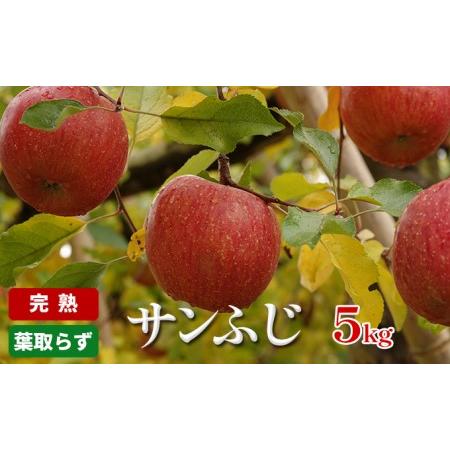 ふるさと納税 完熟・葉取らず「サンふじ」5kg 長野県駒ヶ根市