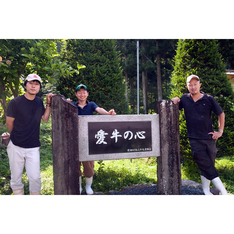 飛騨牛 焼肉 霜降り赤身 900g 5〜6人前 肉 牛肉 ギフト 特上 和牛 国産 食べ比べセット トモサンカク みすじ 三角バラ イチボ ランポ