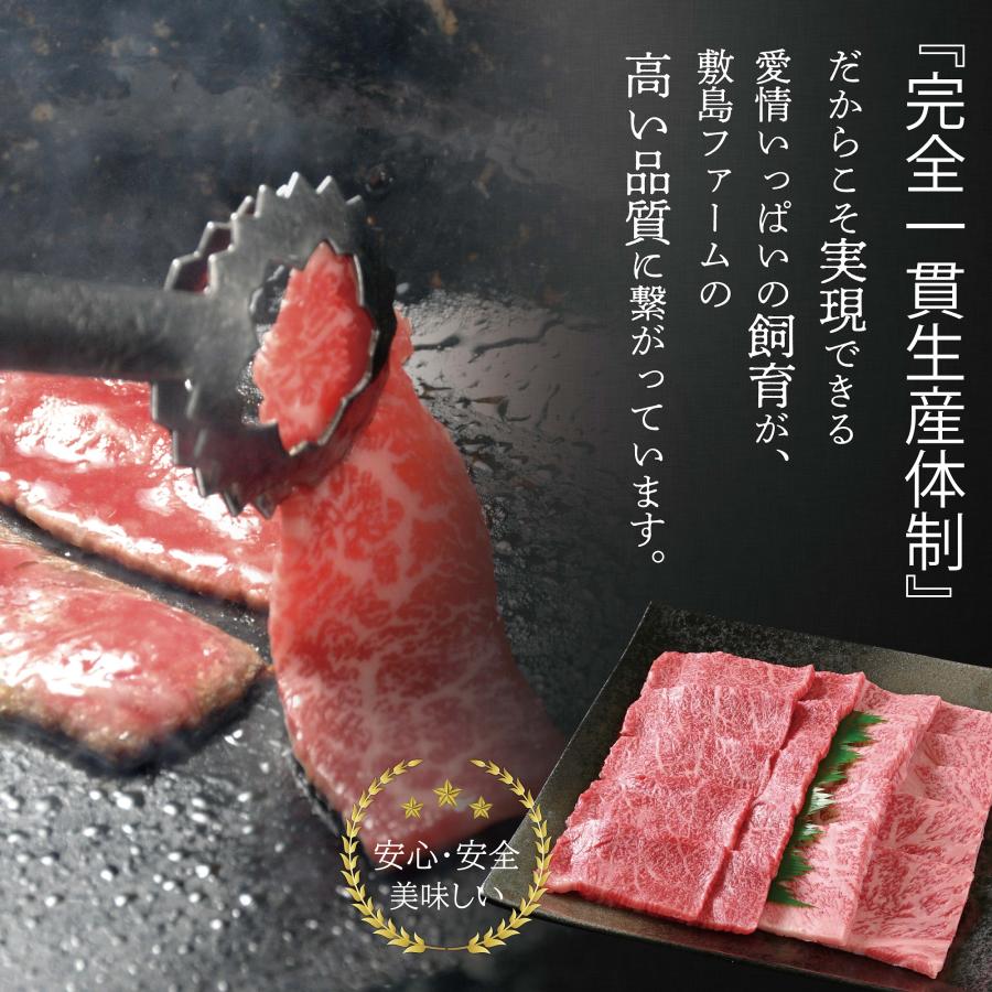 [敷島ファーム] 牧場直営 黒毛和牛 焼肉 2種セット 800g ロース 400g・ モモ 400g)