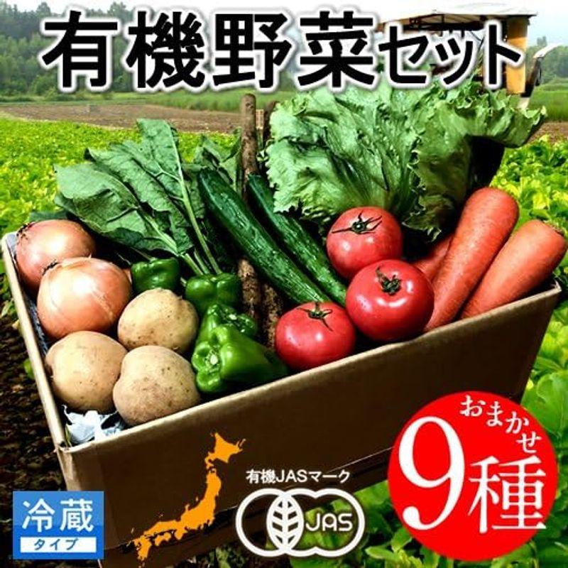 日本の有機野菜セット［9種類］季節の旬 有機農法 野菜 詰め合わせ 日本全国ご当地生産者 有機栽培 ベジタブル スムージー 野菜材料