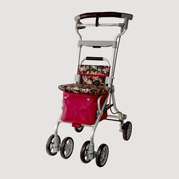 Freedom 105 健康散步車 淺綠色