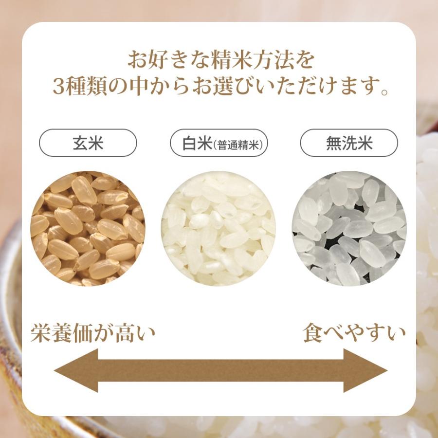 新米 令和5年 つや姫 雪若丸 各2kg 食べ比べセット (計4kg) 山形県産 (玄米・白米・無洗米)精米方法選べます