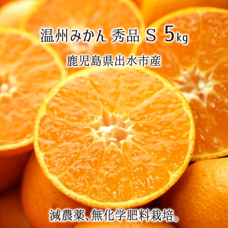 温州みかん 秀品 小玉 S 5kg 鹿児島県出水市産 減農薬 無化学肥料 特別栽培 ミカン 10月下旬〜12月中旬 送料無料