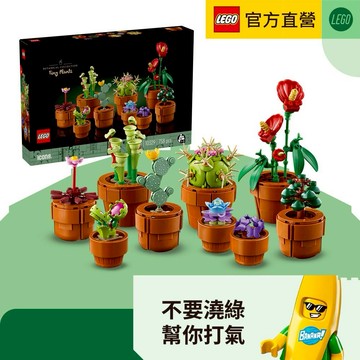 LEGO 樂高 Icons 10329 迷你盆栽 (花藝 居家擺設 生日禮物 入厝送禮 職場祝福)