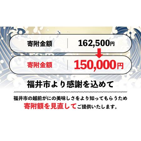 ふるさと納税 美味しさ直送！ 越前がに（800g〜900g）×1杯 [.. 福井県福井市