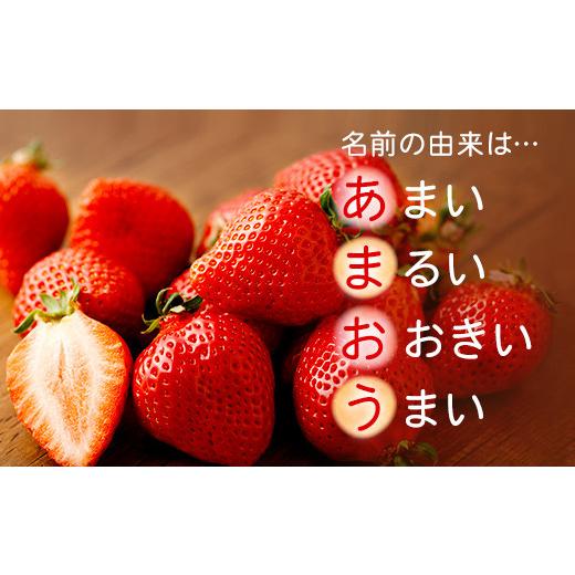 ふるさと納税 福岡県 太宰府市 贈答用 あまおう 約800g いちご イチゴ 苺 化粧箱入り