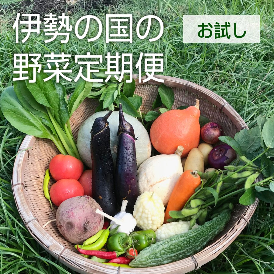 伊勢の国の野菜お試しセット（8~14品目）