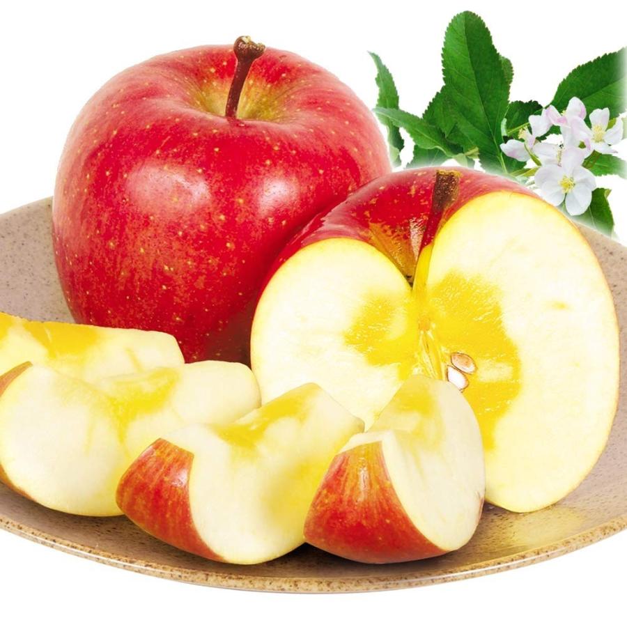りんご 10kg 蜜入りふじ 山形産 ご家庭用 送料無料 食品