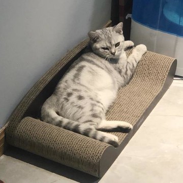 貓抓板貓窩貴妃榻大號耐磨貓沙發床貓磨爪器不掉屑貓咪玩具貴妃椅