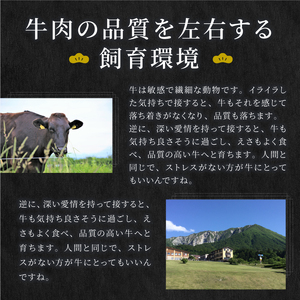 HA-02　肉質日本一の和牛「大山黒牛」切り落とし1kg