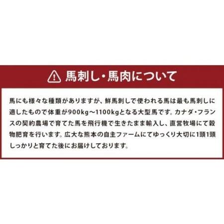 ふるさと納税 馬刺しバラエティー 約1.02kg 馬刺し 馬刺 馬肉 セット 熊本県高森町